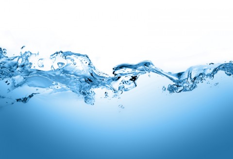 Does water react to awareness, thaughts and feelings?